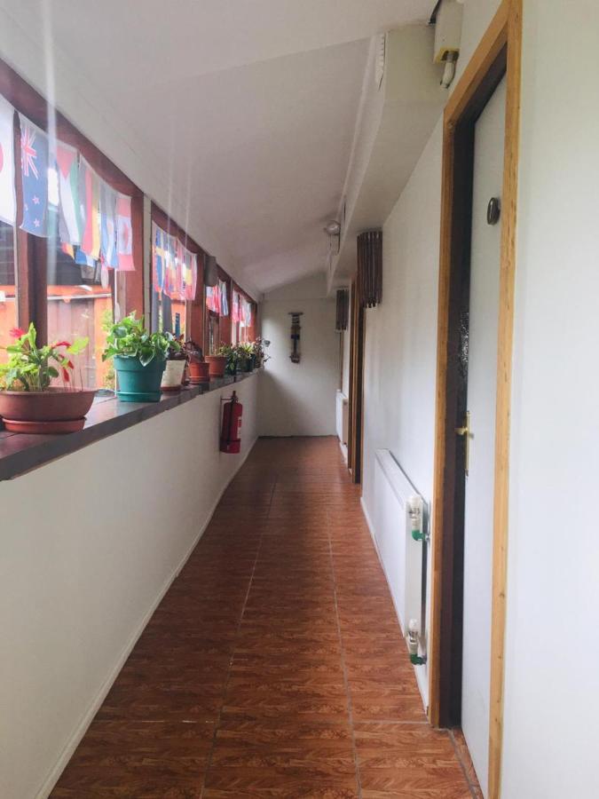 Hospedaje Irma Backpackers Pucón Esterno foto